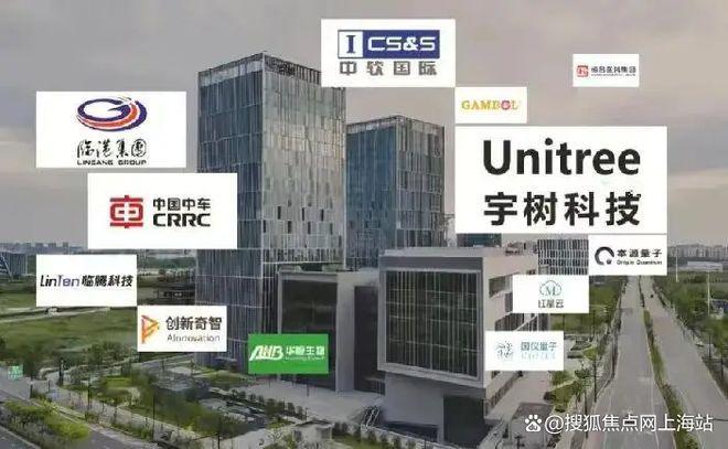 中环铂樾)网站-优缺点分析中环铂樾权威发布(2025(图19)